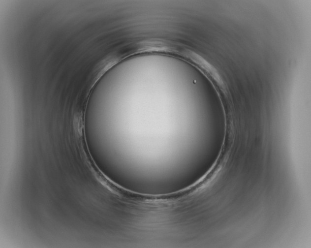 X0000112861377200908211312