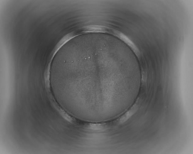 X0000112861378200908211312