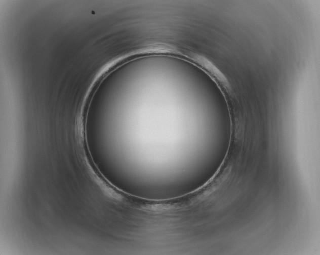 X0000112861380200908211312