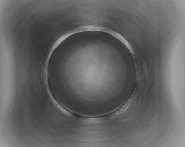 X0000112861381200908211312