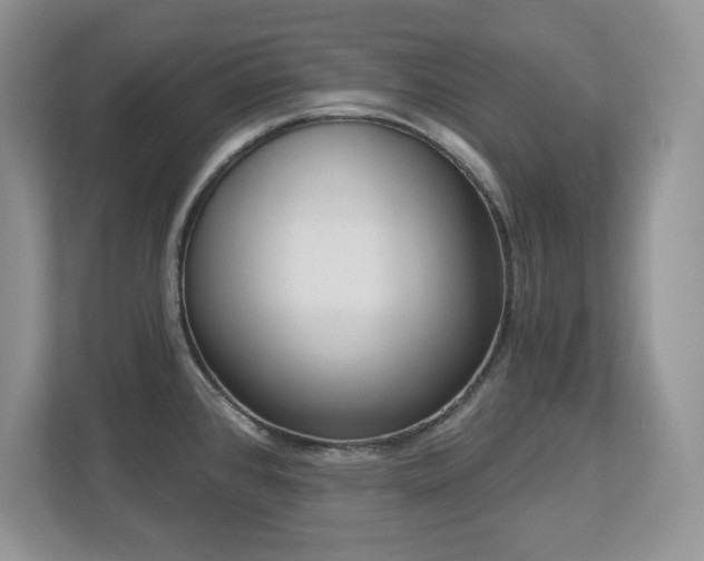 X0000112861384200908211312