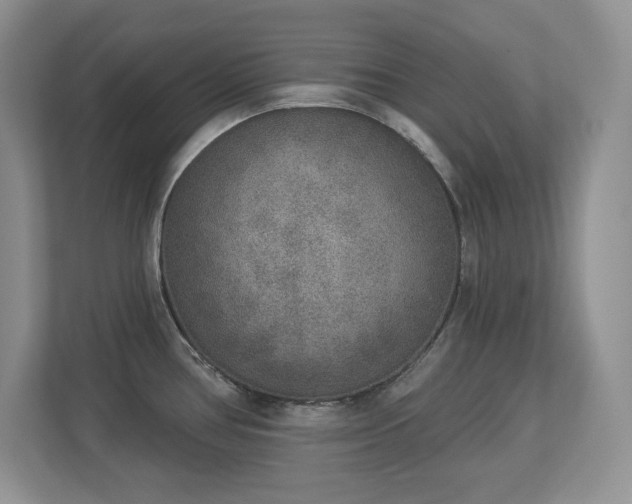 X0000112861386200908211312