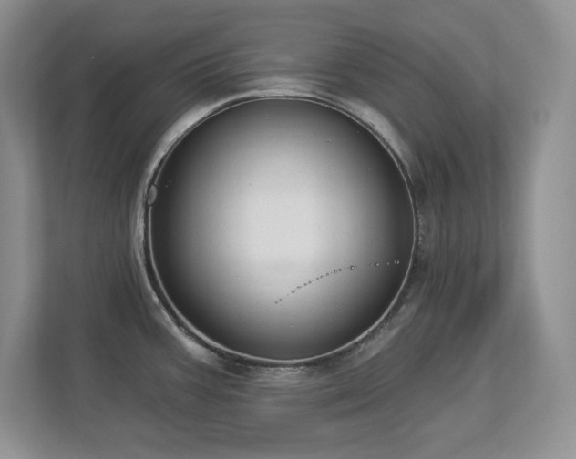 X0000112861387200908211312