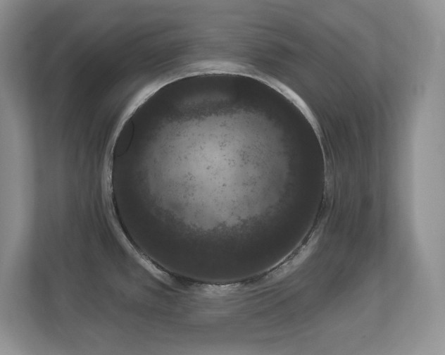 X0000112861389200908211312