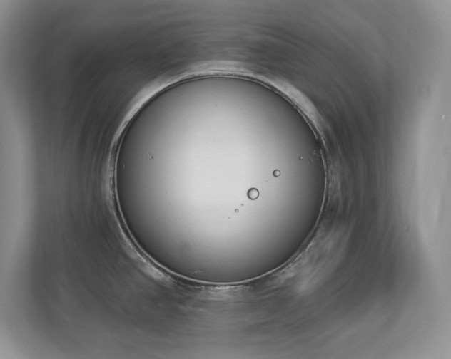 X0000112861390200908211312