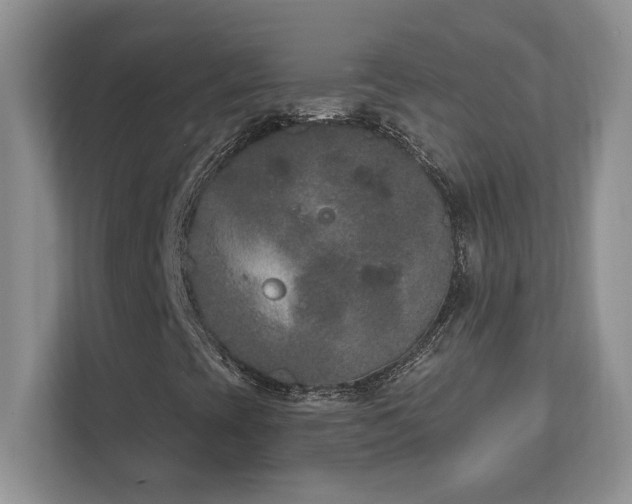 X0000112861393200908211311