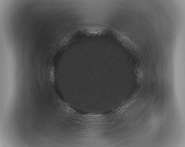 X0000112861394200908211311