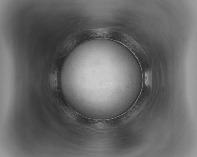 X0000112861395200908211311