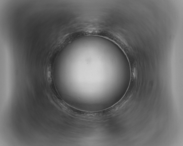 X0000112861396200908211311
