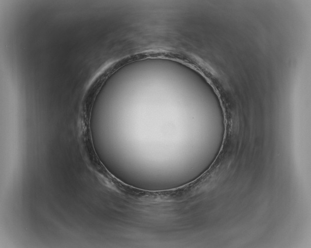 X0000112861400200908211311