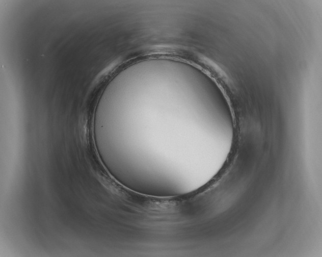 X0000112861403200908211311