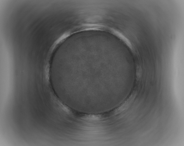 X0000112861411200908211311