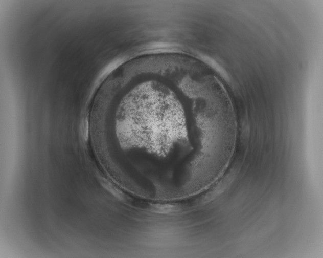 X0000112861413200908211311
