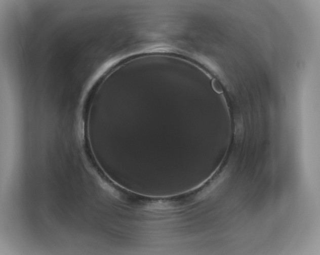X0000112861414200908211311