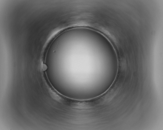 X0000112861416200908211311