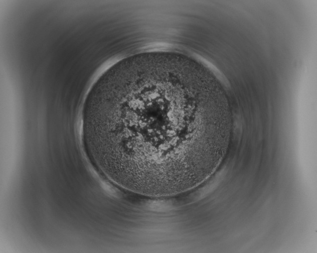X0000112861418200908211311