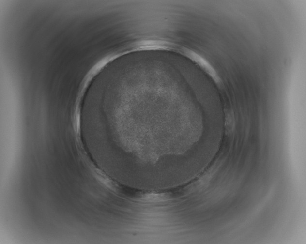 X0000112861419200908211311