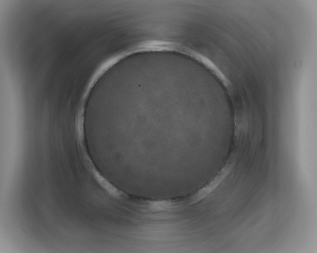X0000112861421200908211311