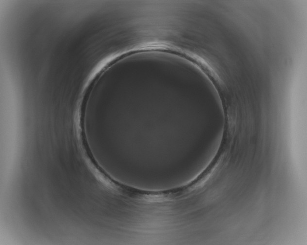 X0000112861422200908211311