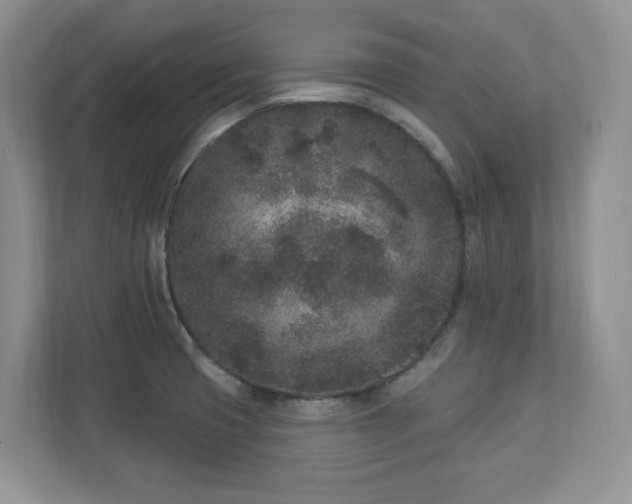 X0000112861425200908211312