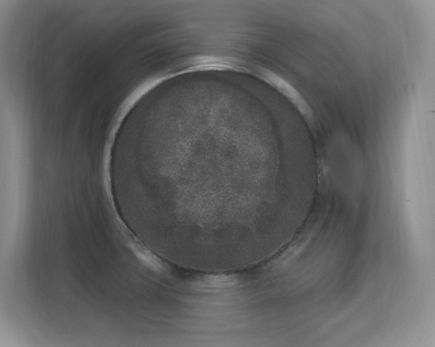 X0000112861427200908211312