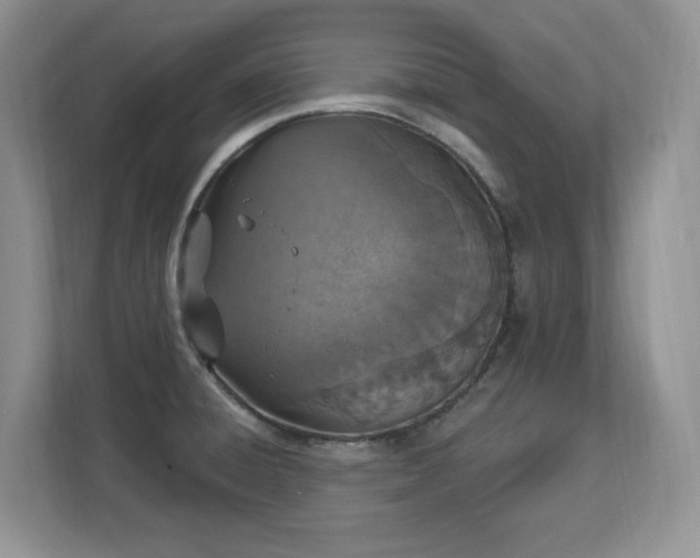 X0000112861428200908211312