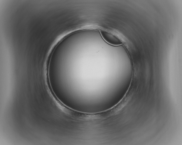 X0000112861430200908211312