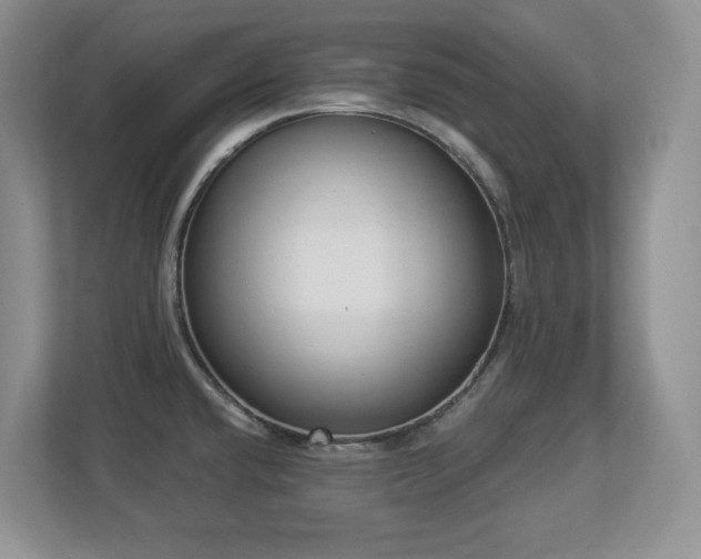 X0000112861432200908211312