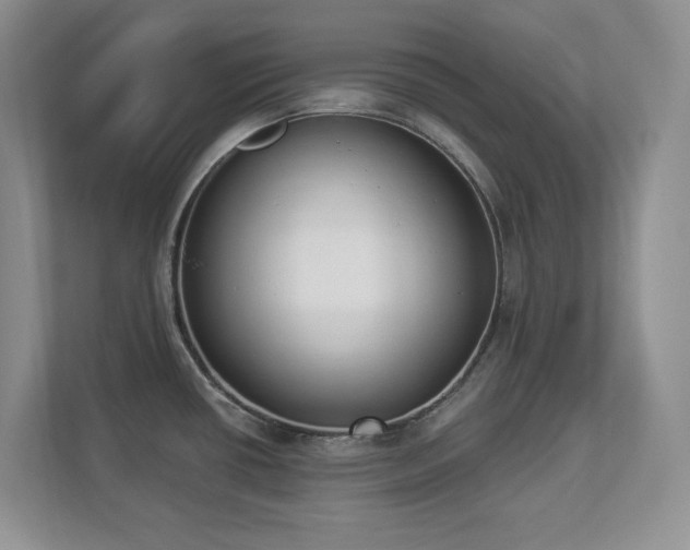 X0000112861434200908211312