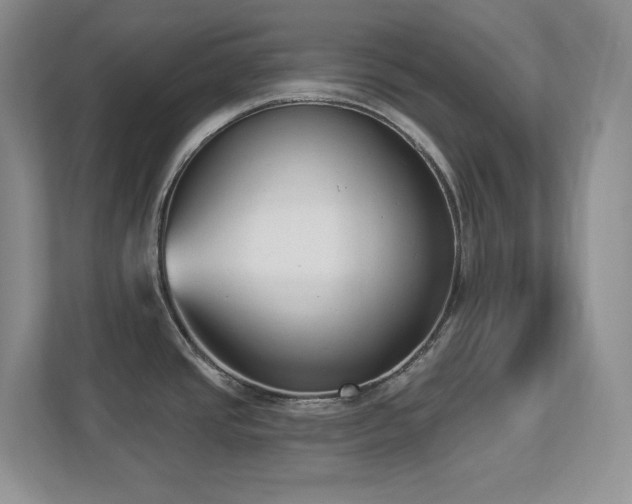 X0000112861437200908211312