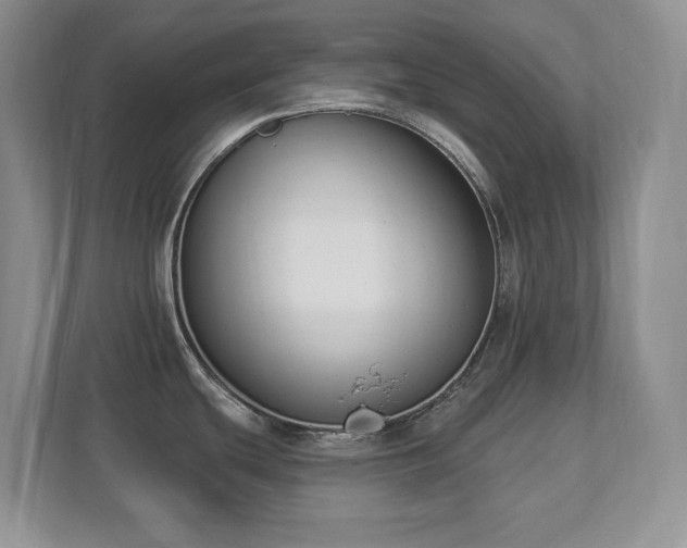 X0000112861439200908211312