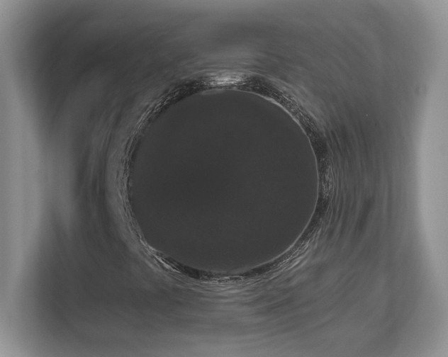 X0000112861441200908211311