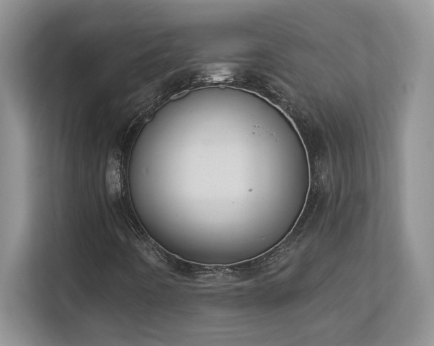 X0000112861442200908211311