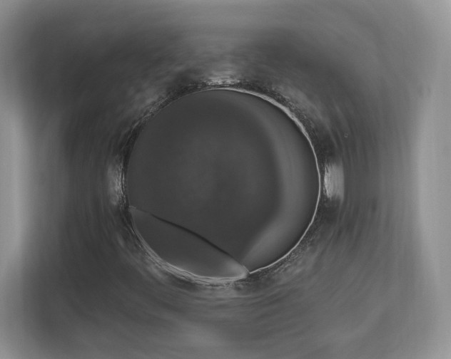 X0000112861444200908211311