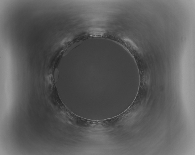 X0000112861445200908211311