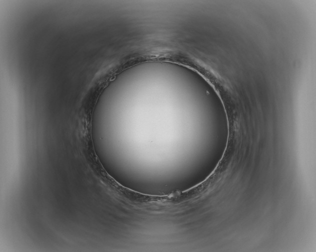 X0000112861447200908211311