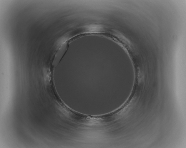 X0000112861449200908211311