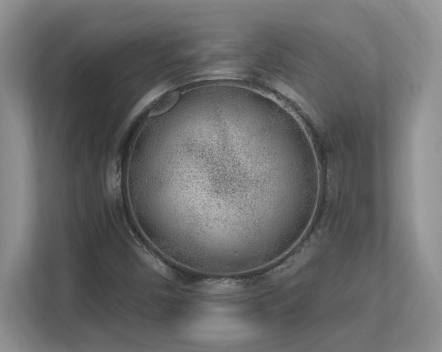 X0000112861450200908211311