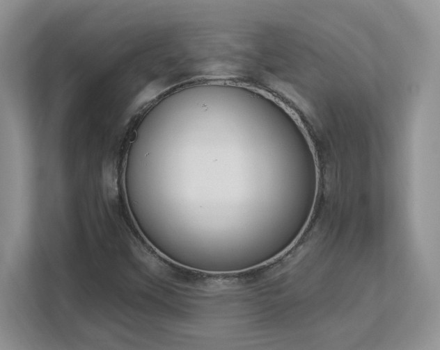 X0000112861451200908211311