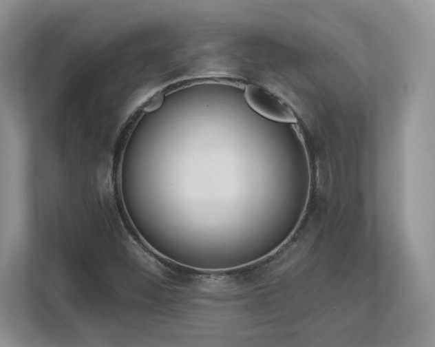 X0000112861452200908211311