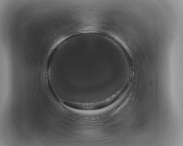 X0000112861453200908211311