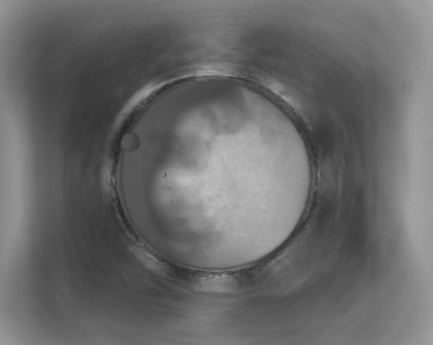 X0000112861454200908211311