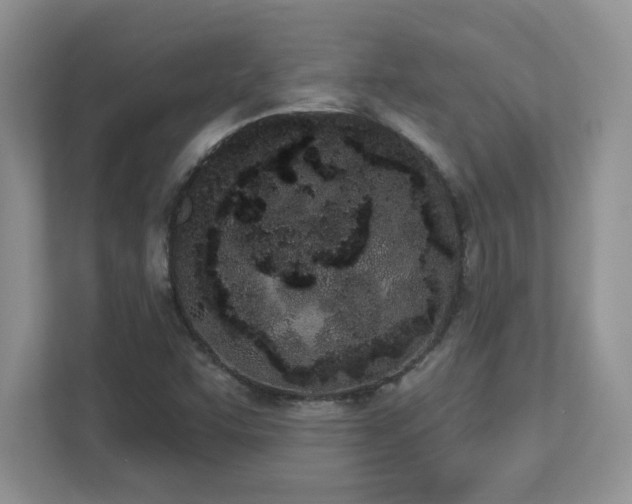 X0000112861455200908211311