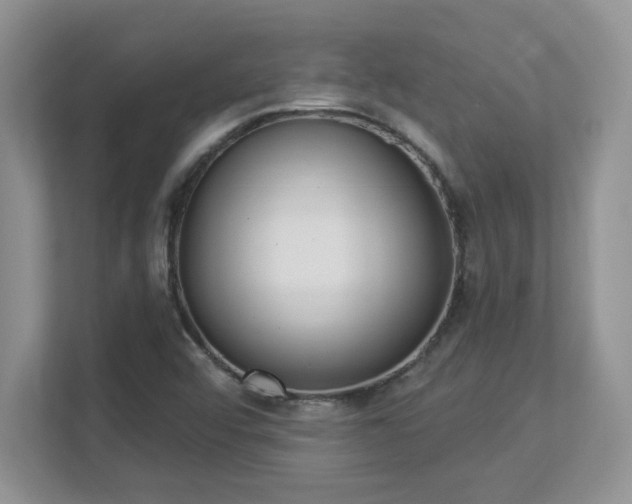 X0000112861456200908211311