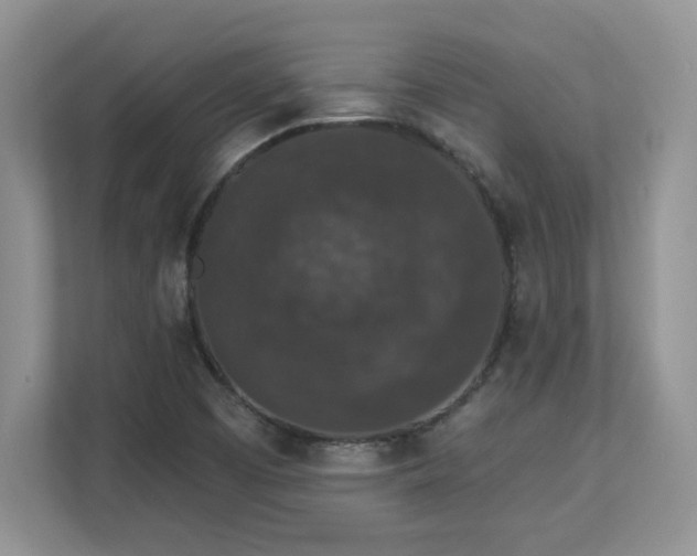 X0000112861457200908211311