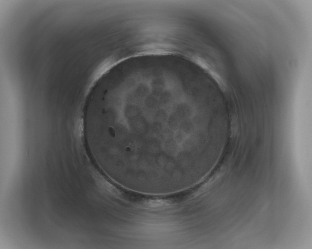 X0000112861459200908211311