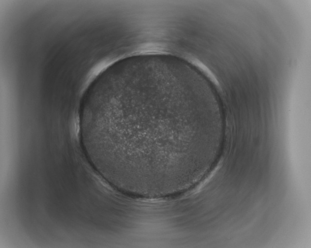X0000112861461200908211311