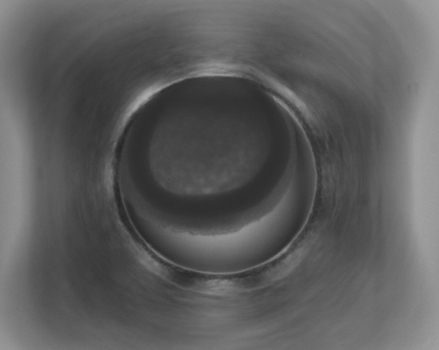 X0000112861463200908211311