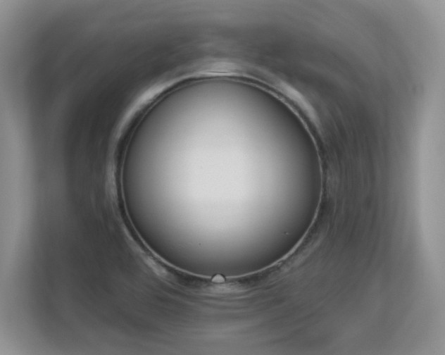 X0000112861464200908211311