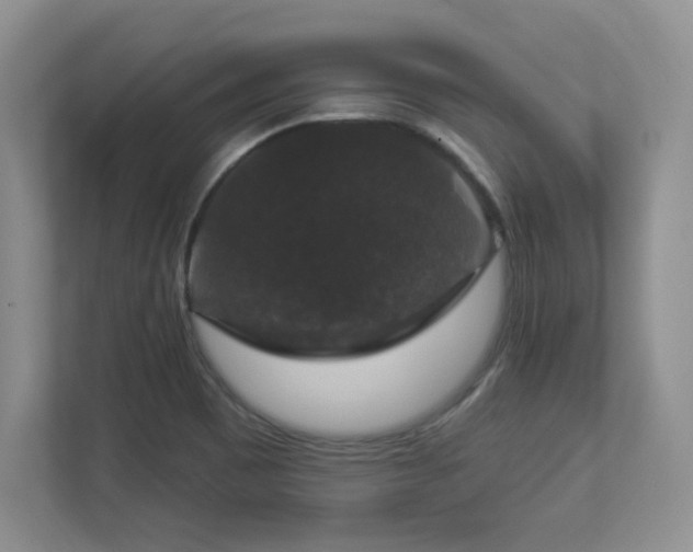 X0000112861465200908211311